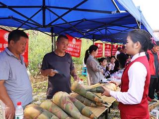 消费帮扶助增收 河池政企携手促振兴