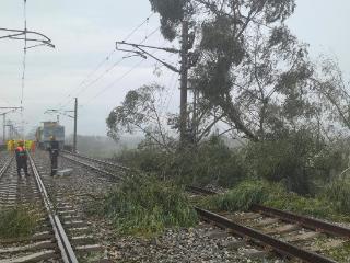 现场直击 | 海南铁路争分夺秒保线路开通 环岛高铁东段逐步恢复运行