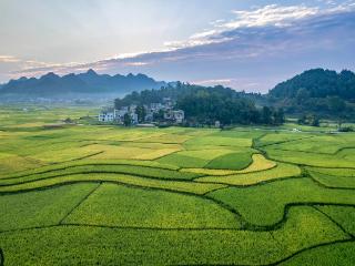 【高清组图】施秉：初秋田园“丰”景美