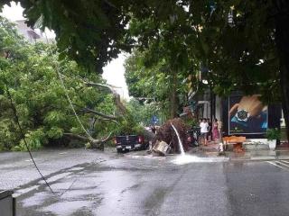 台风“摩羯”在越南已造成11人死亡事件脉络