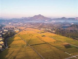 从“闲地”到“忙地” 发挥大田托管作用 杭州市供销社助力粮食丰产与都市农园创新