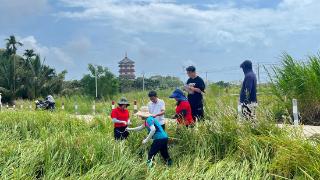 组图丨农业专家走进琼海田间地头指导灾后农作物病虫害防控