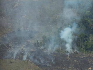 火灾数量持续增加 巴西西部多地空气污染严重