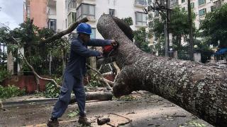 风雨兼程助力学校灯火 琼海61所学校全部恢复供电