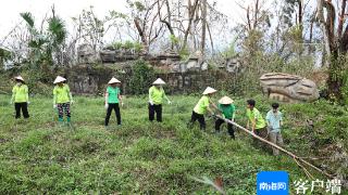 台风肆虐后的海南热带野生动植物园怎样了？何时恢复开园？