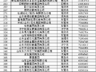 110万亿！2024中国企业500强发布 潍坊市6家上榜