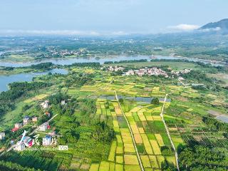 湖南道县：良田阡陌绘“丰”景