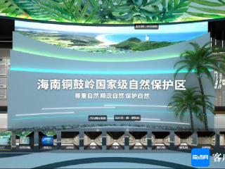 邀您共赏生态奇观 海南铜鼓岭国家级自然保护区虚拟展厅上线