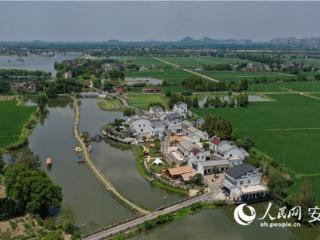 四面环水的㘰门村：“宿”造乡村新前景