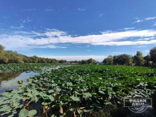 中秋节期间，我省平均气温16℃，适宜出行