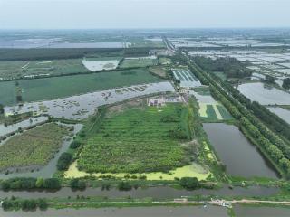 江苏草堰港遗址新发现填补江淮地区新石器时代考古空白