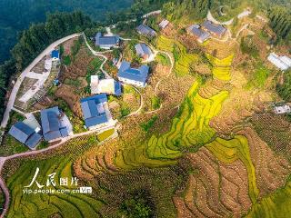 云南绥江：高山梯田“丰”景如画