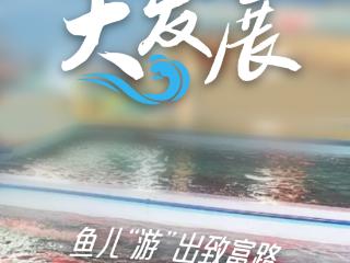 向往的渔村丨万宁东澳镇蓝田村：鱼儿“游”出致富路，小渔村的大发展！