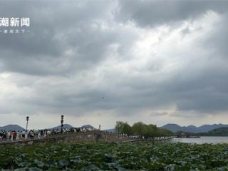 西湖景区严防“贝碧嘉”：水适度降低、加固树木、九溪防涝