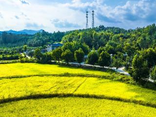 豫西伏牛山区：秋意浓 大美乡村入画来