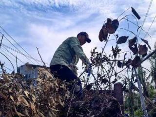 海南林业“油锯手”参与多地灾后重建工作