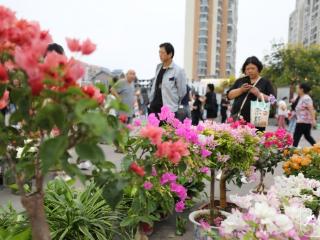 淮南市八公山区举办旅游节（图）