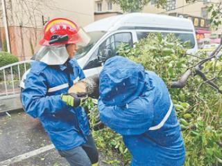 相关部门和地区防范应对台风“贝碧嘉”