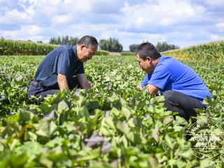 稻花香里说丰年·视频故事｜ “父子兵”新传