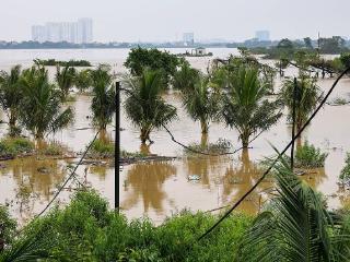 越南更正台风“摩羯”导致死亡人数为291人