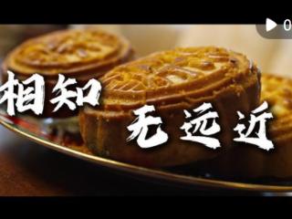 微视频｜相知无远近