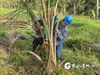 线路巡视路上的暖心事