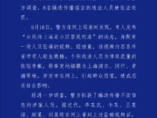 造谣上海有人因台风被吹落高坠，8人被罚