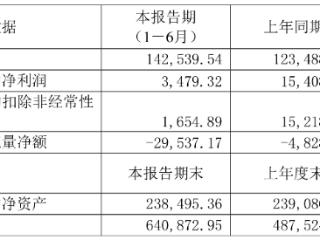 望变电气上半年扣非净利降9成 2022年上市募资9.88亿