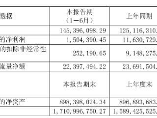 路德环境H1扣非降97% 拟可转债定增双线募资2020上市