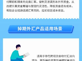 2024年“诚信兴商宣传月”汇率避险之产品篇人民币外汇掉期