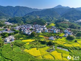 江西安远：乡村秋景如画