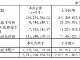 利扬芯片上半年转亏 2020年上市两募资共10.56亿元