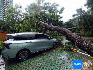 组图 | 直击强风暴雨天气的三亚