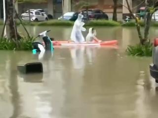 琼海发布暴雨红色预警 当地中小学幼儿园停课半天