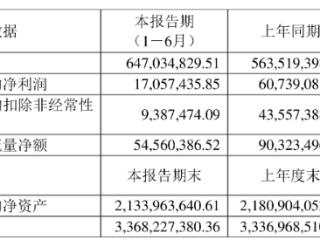 长阳科技上半年净利降7成 2019年上市两募资共10.2亿