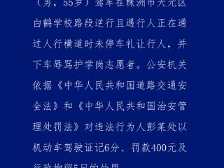 男子驾车逆行强闯护学岗还骂人 官方通报：扣分、罚款、拘留