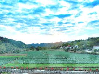 湖南沅陵莲花池村：护住乡土 留住乡愁 造福乡亲