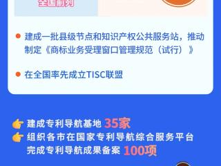 一图读懂 | 2024年以来安徽省知识产权公共服务工作