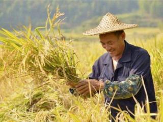 四川一农民用珍贵牌匾当作切菜板，文物专家听闻后大呼：暴殄天物