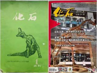 时隔52年！莱阳与“新中国第一龙”再登《化石》期刊封面