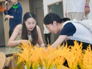 粮食安全宣传走进校园 传递节粮爱粮理念