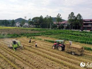 江西安义：秸秆回收 变废为宝