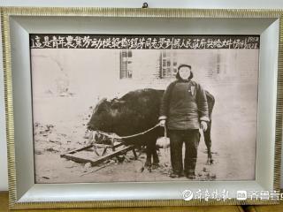 老照片里的新中国丨72年前，县政府奖给她一头大牛