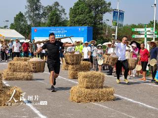 重庆大足：田间地头庆丰收