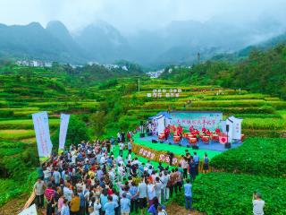 城乡风貌看浙里丨毗邻协作庆丰收，共绘浙皖好“丰”景