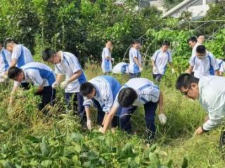 春播一粒种，秋收万粒子——济南市莱芜第一中学综合实践基地举行秋收活动