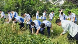 春播一粒种，秋收万粒子——济南市莱芜第一中学综合实践基地举行秋收活动