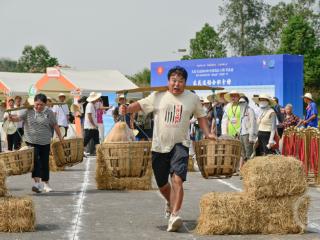 大足安岳2024年中国农民丰收节活动启幕