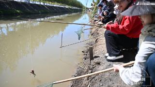 吉镜头｜“稻花香里说丰年”网络主题活动之德惠、磐石——畅享丰收之旅