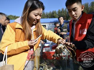 稻花香里说丰年| “镇赉三嫩”，不简单！